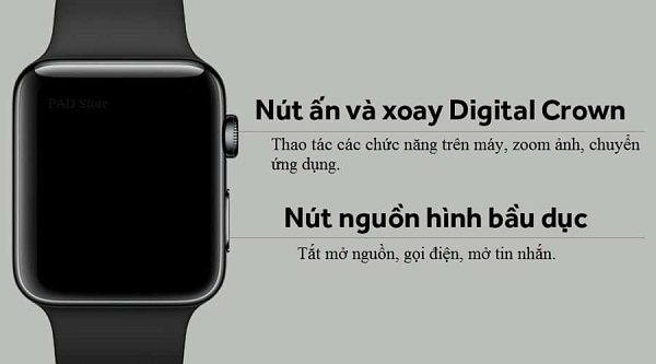 Bấm vào nút xoay Digital Crown